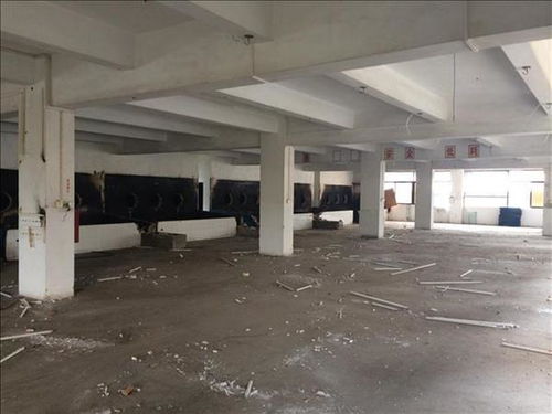 丹東市廠房承重安全檢測 第三方咨詢單位助力安全生產與技術咨詢解讀